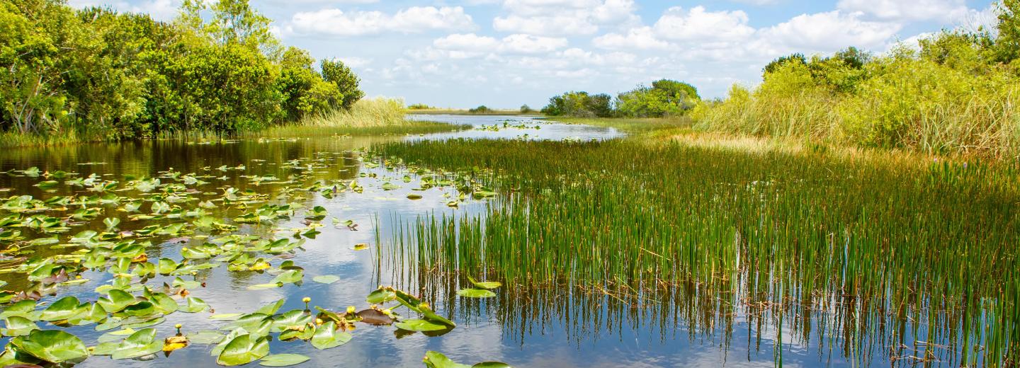 © Eurotours Everglades
