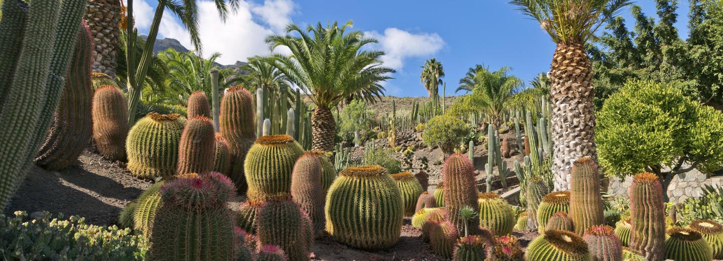 © Eurotours Gran Canaria