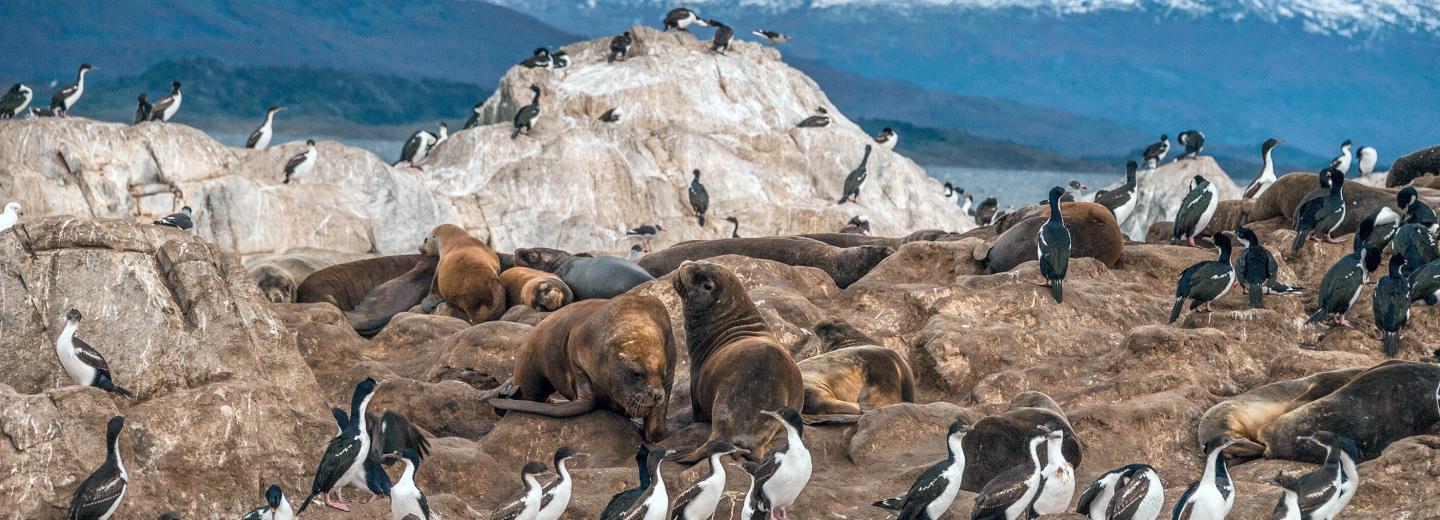 © Eurotours Ushuaia, Argentinen