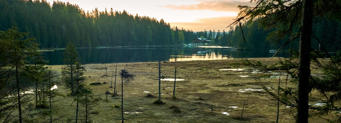 © Eurotours Aktiv in Lam, Bayerischen Wald