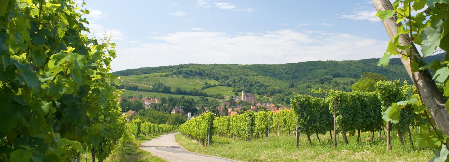 © Eurotours Elsass