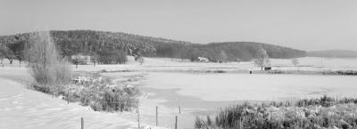 9793952/thueringen-winter-thinkstock-455179161-0_1723029646555.jpg