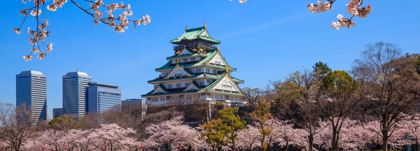 9796448/osaka-schloss-istock-64549069-xlarge-0_1725363470254.jpg
