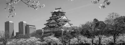 9796448/osaka-schloss-istock-64549069-xlarge-0_1725363470254.jpg