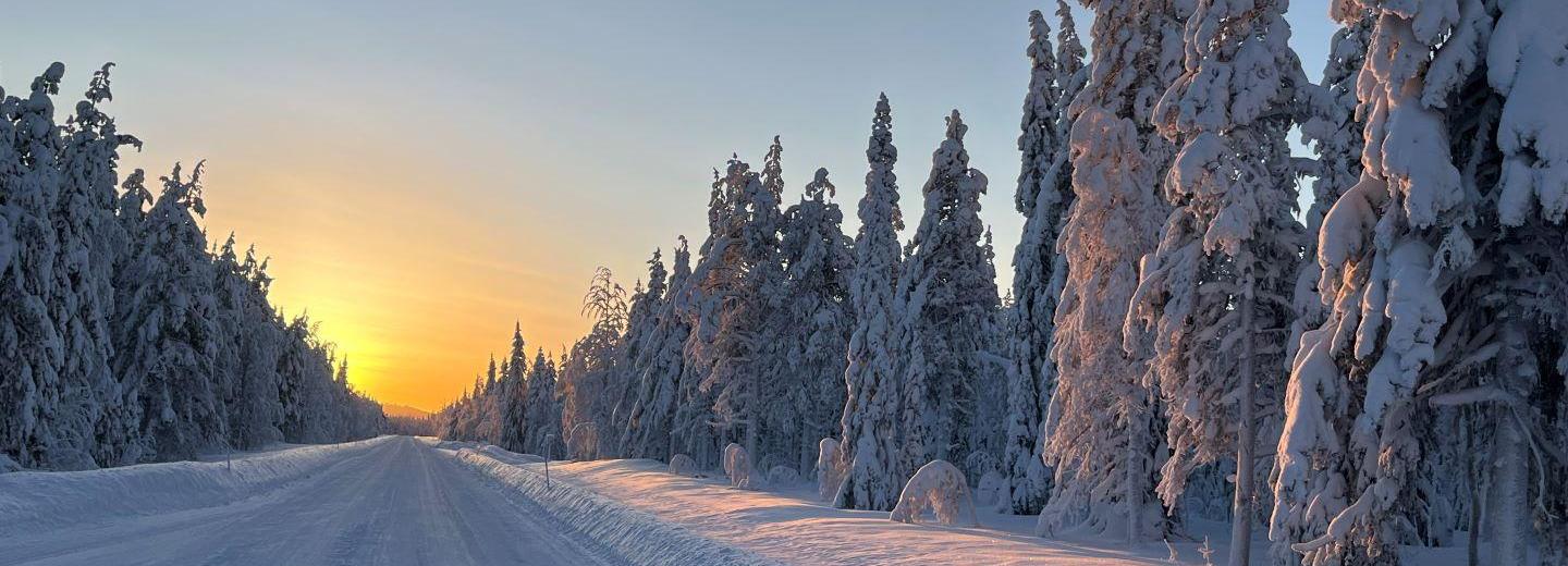 © Martin Schoenacher Winter in Lappland