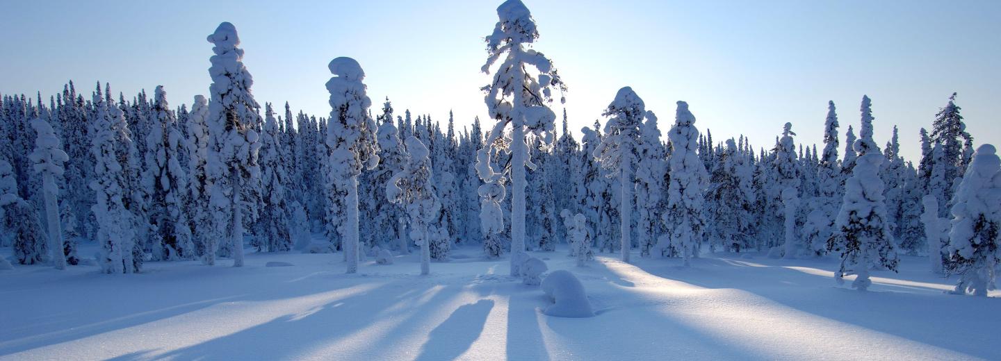 © Eurotours Winter in Lappland