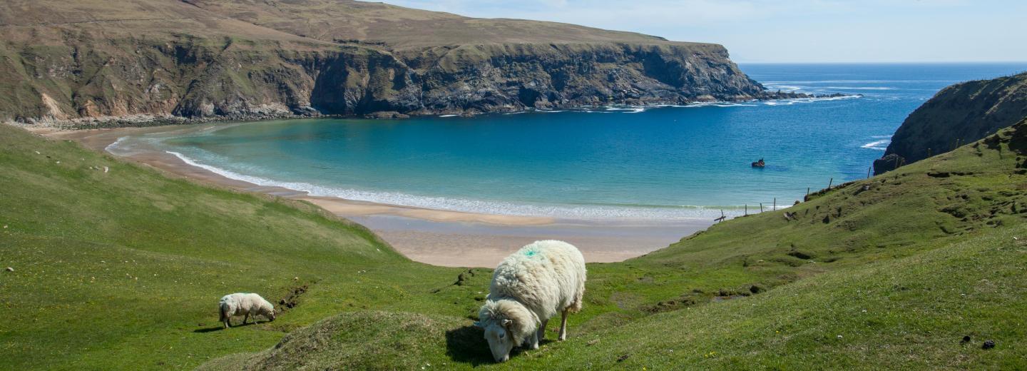 © Eurotours Donegal