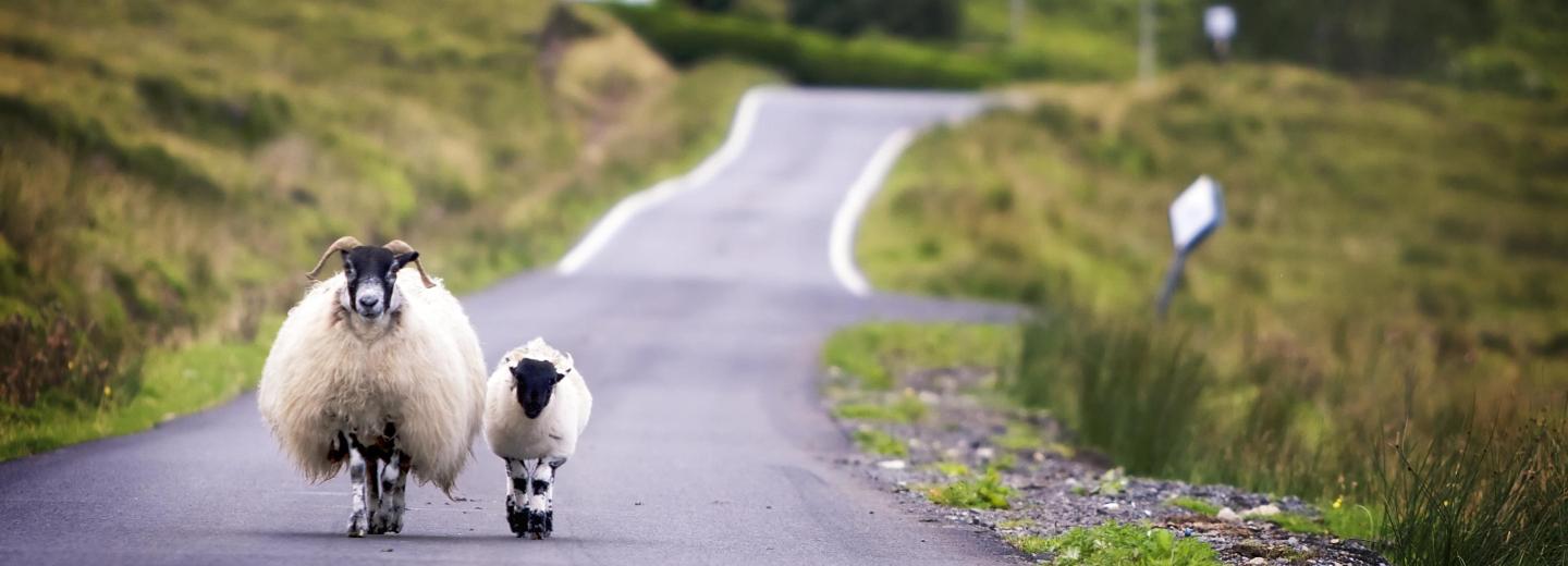 © Eurotours Irland