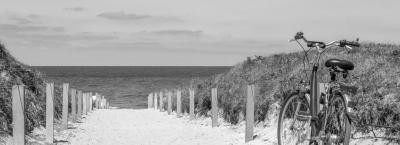 9817010/ostsee-fahrrad-istock-89880015-large_1742980835143.jpg