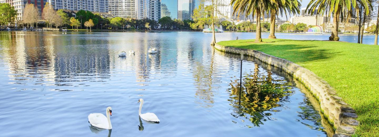 © Shutterstock Orlando