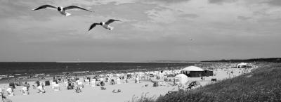 9827691/swinoujscie-strand-colourbox11115372-erweitert_1760350211439.jpg