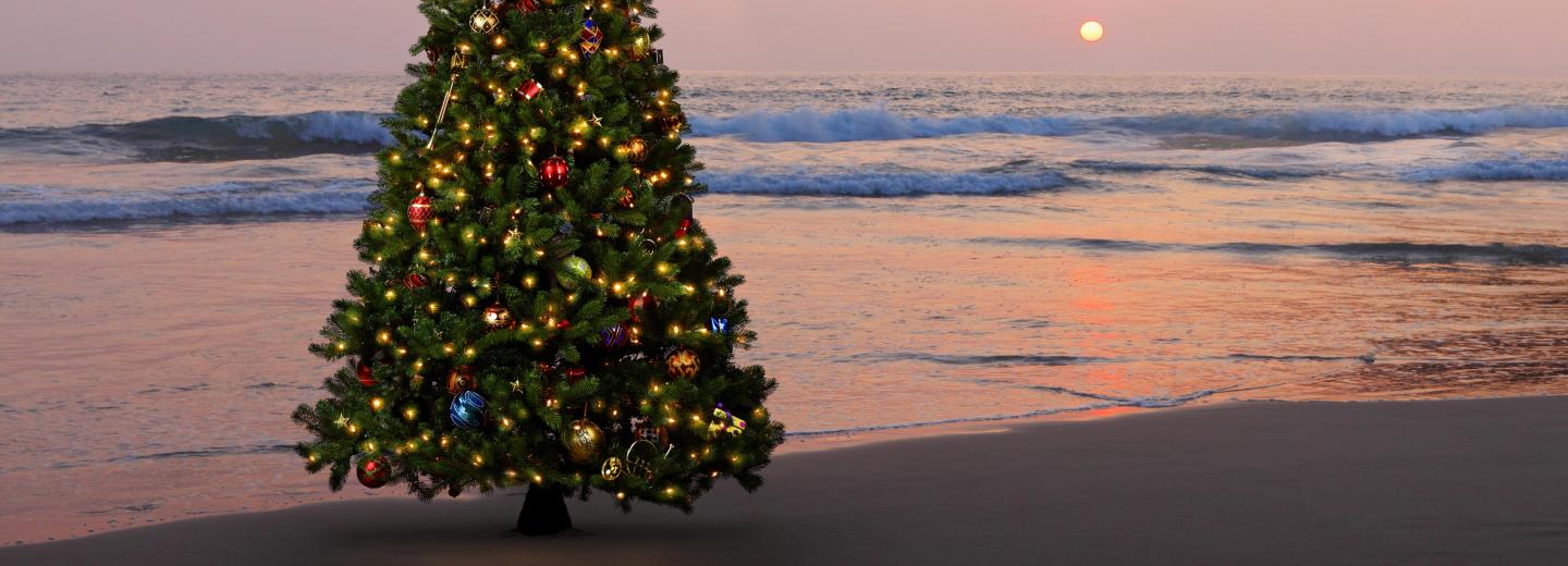 © Eurotours Weihnachten & Silvester an der polnischen Ostsee