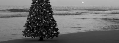 9828321/weihnachtsbaum-strand-gettyimages-1352478117_1761127757083.jpg