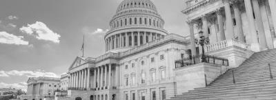 9829019/washington-dc-kongress-thinkstockphotos-505370253_1762337041979.jpg