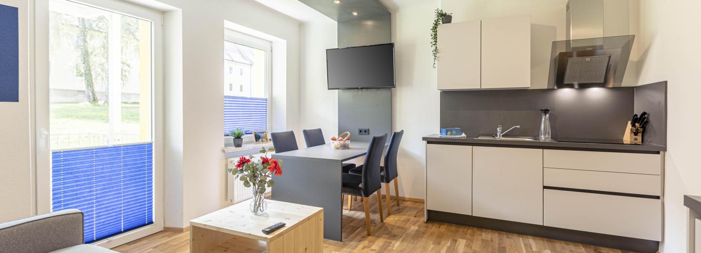 Zimmerbeispiel, Premium Plus Apartment mit Indoor-Whirlpool Balkon "Erzberg"