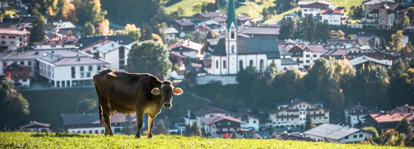 Kirchberg in Tirol