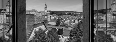 9831694/ruze-cesky-krumlov-221117-8774-4_1766152557382.jpg
