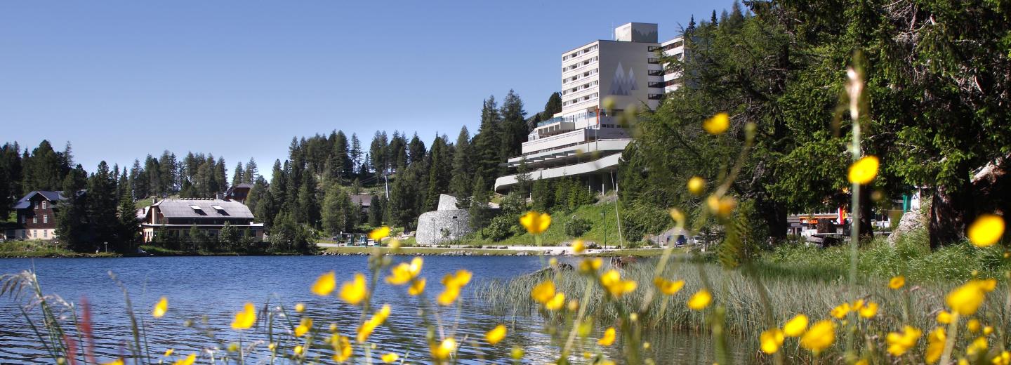Panorama Hotel Turracherhöhe - Alpin Resort & Spa, Ebene Reichenau