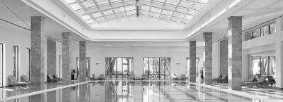 9833856/indoor-pool_1770632399973.jpg