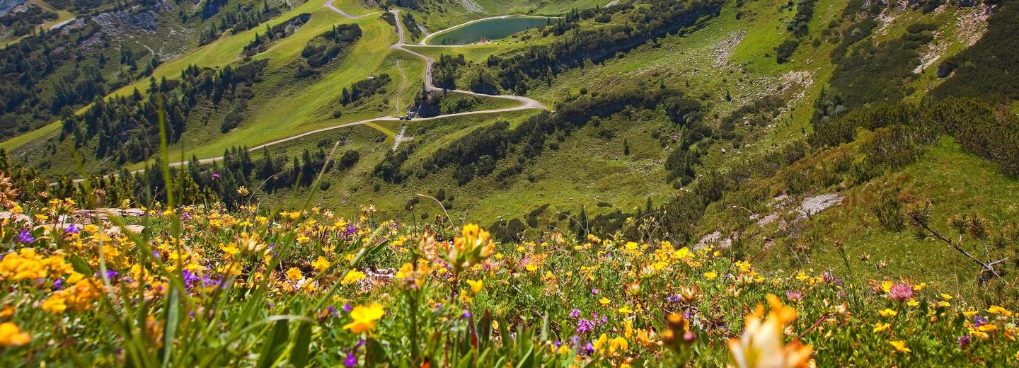 Altenmarkt-Zauchensee