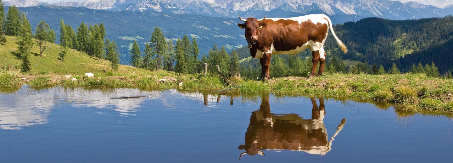 Altenmarkt im Pongau
