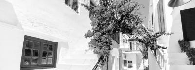 9836939/vbg219865-paros-altstadt_1774862863973.jpg