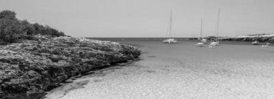 9940716/adobestock-157691267-1774340773736_1782812861494.jpg